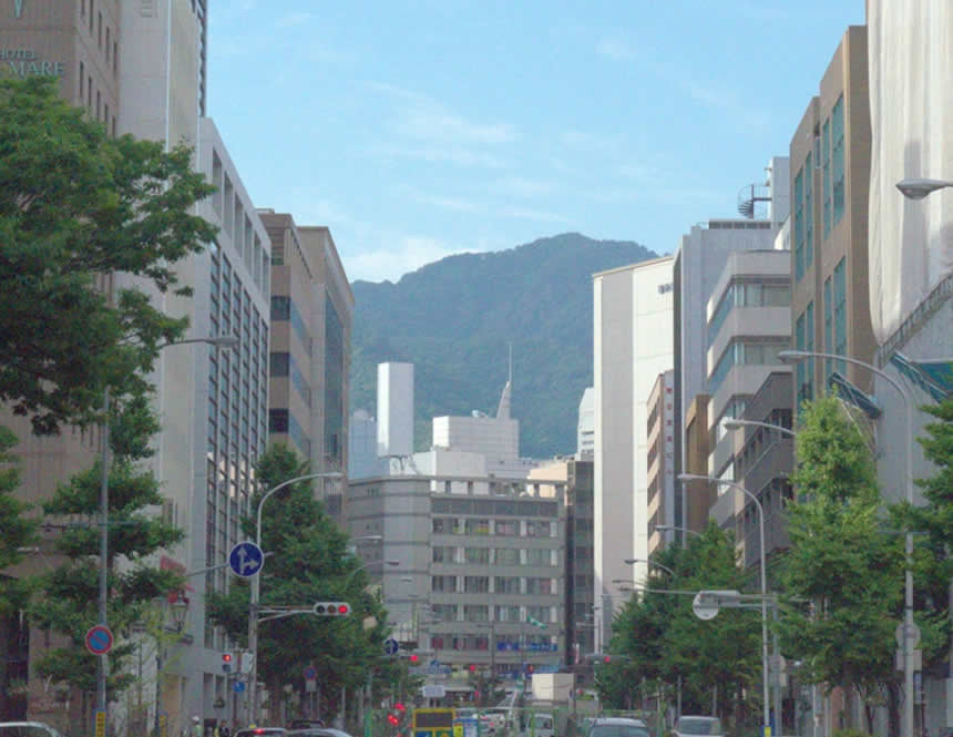 屋外広告物のコントロール